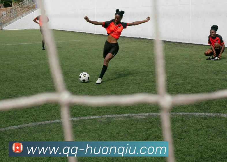 环球体育平台生态图